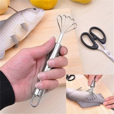 Stainless Steel Coconut Shaver Kitchen Supplies Scaling Tool Grater